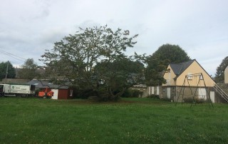 terrasse paysagiste-Sauvée Sarl-Saint-Malo