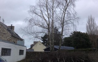 aménagement paysager terrasse-Sauvée Sarl-Saint-Malo
