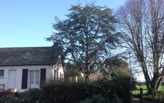 jardin saint malo-Sauvée Sarl-Saint-Malo