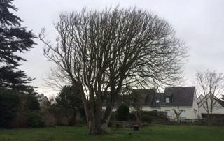 cloture paysagiste-Sauvée Sarl-Saint-Malo